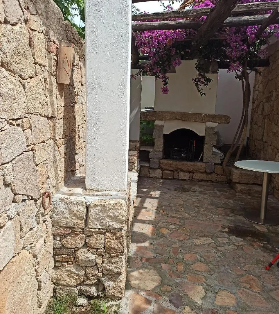 Apartment Alloggio Portico E Alloggio Ulivo Italy